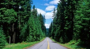 You Asked, We Answered: Response to 2013 Cars Report