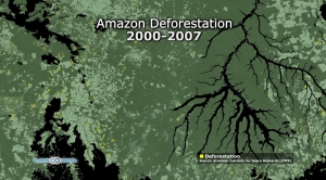 Amazon Deforestation