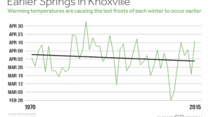 Earlier Springs Heighten Allergy Misery in Tennessee