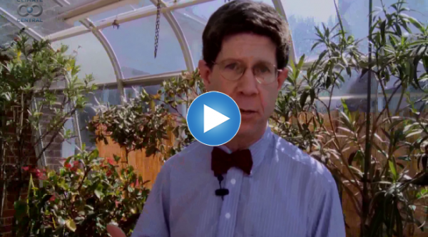 What Is the Greenhouse Effect?