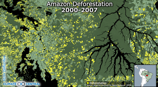Amazon Deforestation