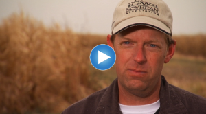 Iowa: Corn and Climate