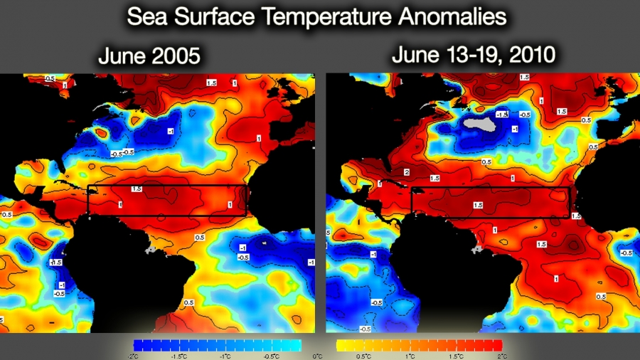 East Coast Sea Surface Temperatures