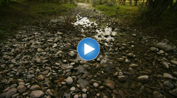 Montana: Trout and Drought