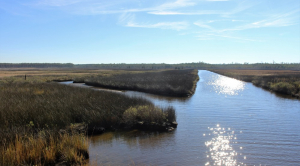 Historic Harriet Tubman Sites at Risk of Rising Seas on Eastern Shore