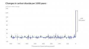 The Carbon Skyscraper