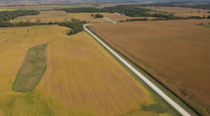 Drier heat waves threaten crops in Iowa
