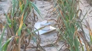 Extreme Weather 101: Drought & Our Changing Climate