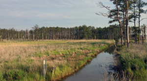 Historic Harriet Tubman Sites at Risk of Rising Seas on Eastern Shore