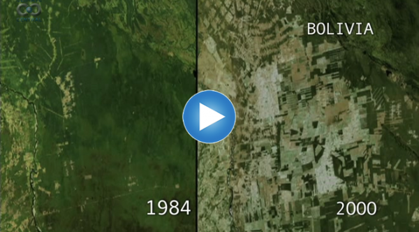 How Do We Know: Proof in the Pixels