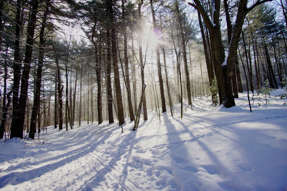 ON THIN ICE: How Climate Change is Shaping Winter Recreation