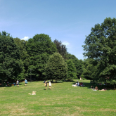 NYC’s Trees: A Natural Defense Against Heat, But Not Equally Shared