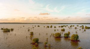 Report: Coastal Flood Risk to Affordable Housing Projected to Triple by 2050