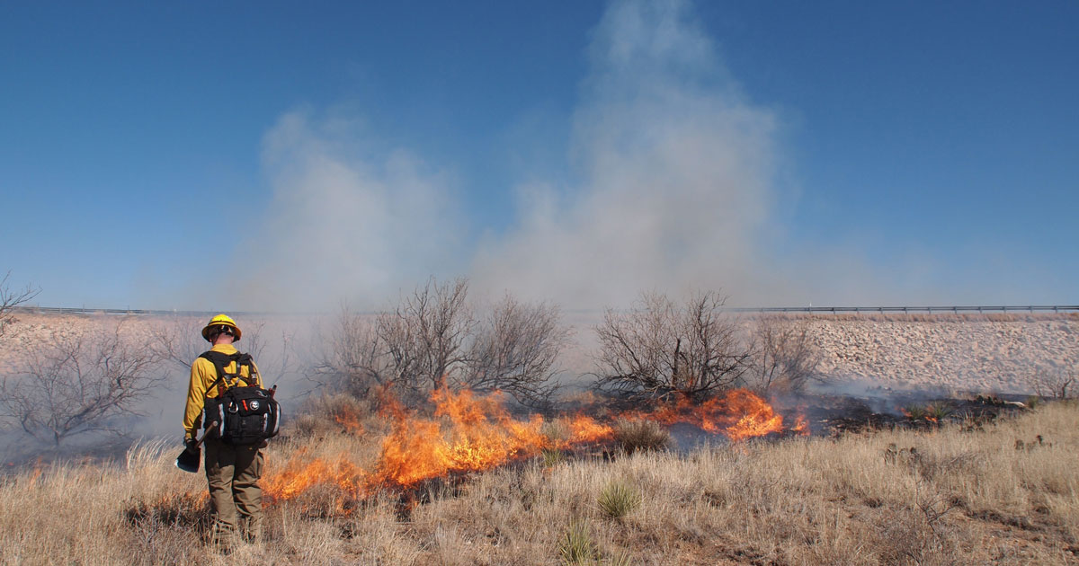 THE BURNING SOLUTION: Prescribed Burns Unevenly Applied Across U.S.